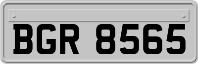 BGR8565