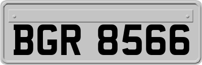 BGR8566