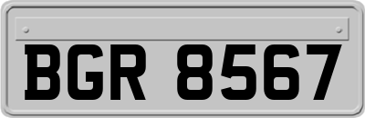 BGR8567