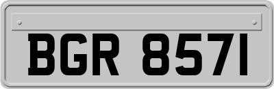 BGR8571