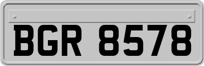 BGR8578