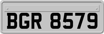 BGR8579