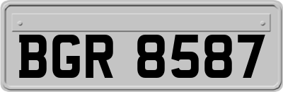 BGR8587