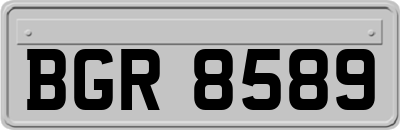 BGR8589