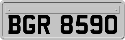 BGR8590