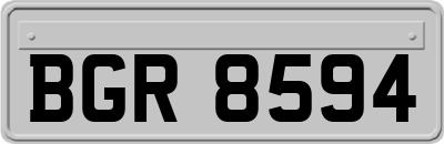 BGR8594