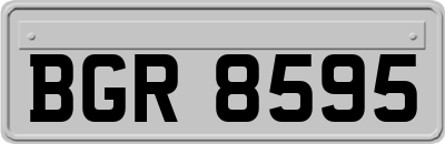 BGR8595