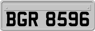 BGR8596