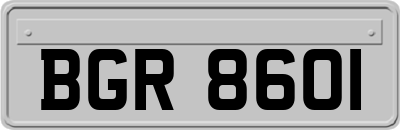 BGR8601