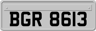 BGR8613