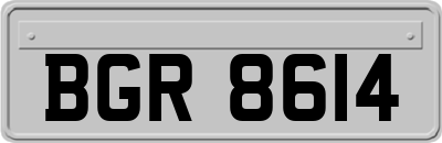 BGR8614