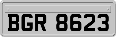 BGR8623