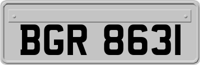 BGR8631