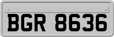 BGR8636
