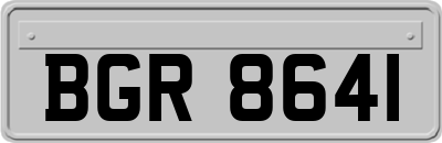 BGR8641