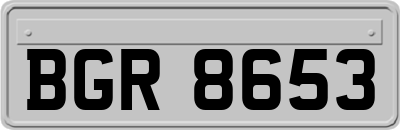 BGR8653