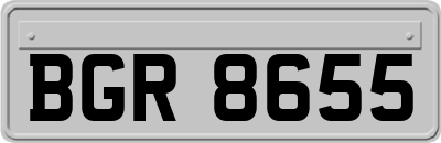 BGR8655