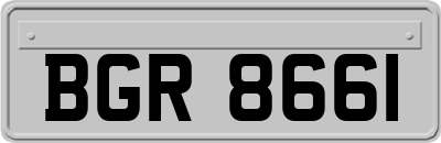 BGR8661