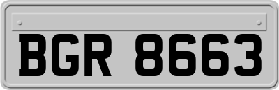BGR8663