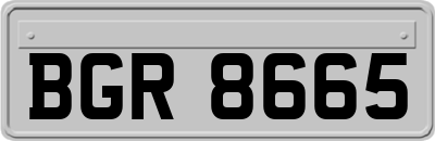 BGR8665