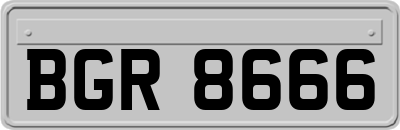 BGR8666