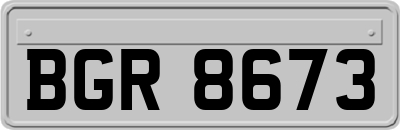 BGR8673