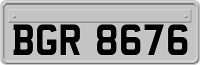 BGR8676