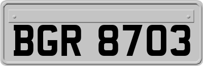 BGR8703
