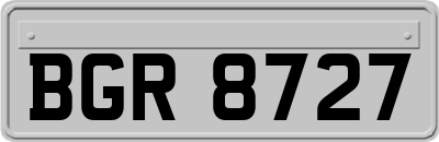 BGR8727