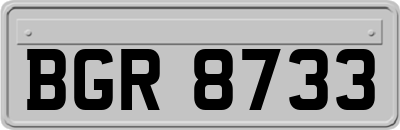 BGR8733