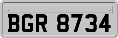BGR8734