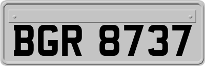 BGR8737