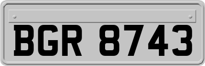 BGR8743