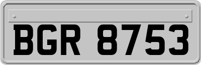 BGR8753