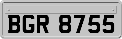 BGR8755
