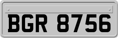 BGR8756