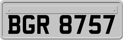 BGR8757