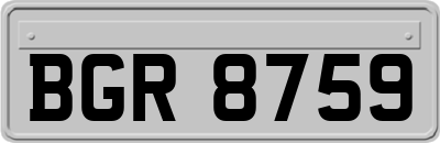 BGR8759
