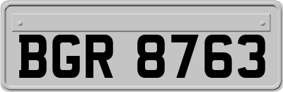 BGR8763