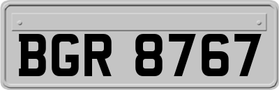 BGR8767