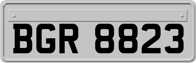 BGR8823
