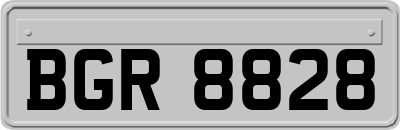 BGR8828