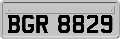 BGR8829