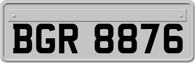 BGR8876
