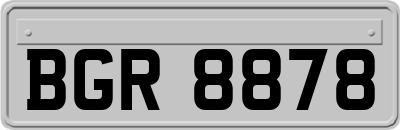 BGR8878