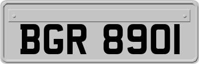 BGR8901
