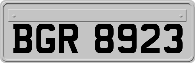 BGR8923