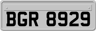 BGR8929