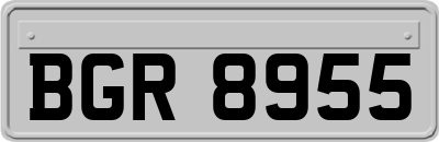 BGR8955