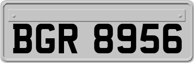 BGR8956